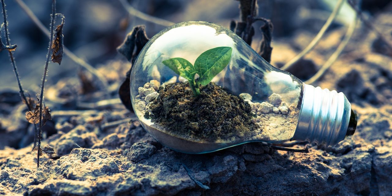 Palestra gratuita debate práticas sustentáveis para o turismo em Minas Gerais