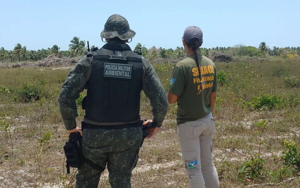 Operação Mata Atlântica em Pé finaliza ações de combate ao desmatamento com aplicação de R$ 56 milhões em multas