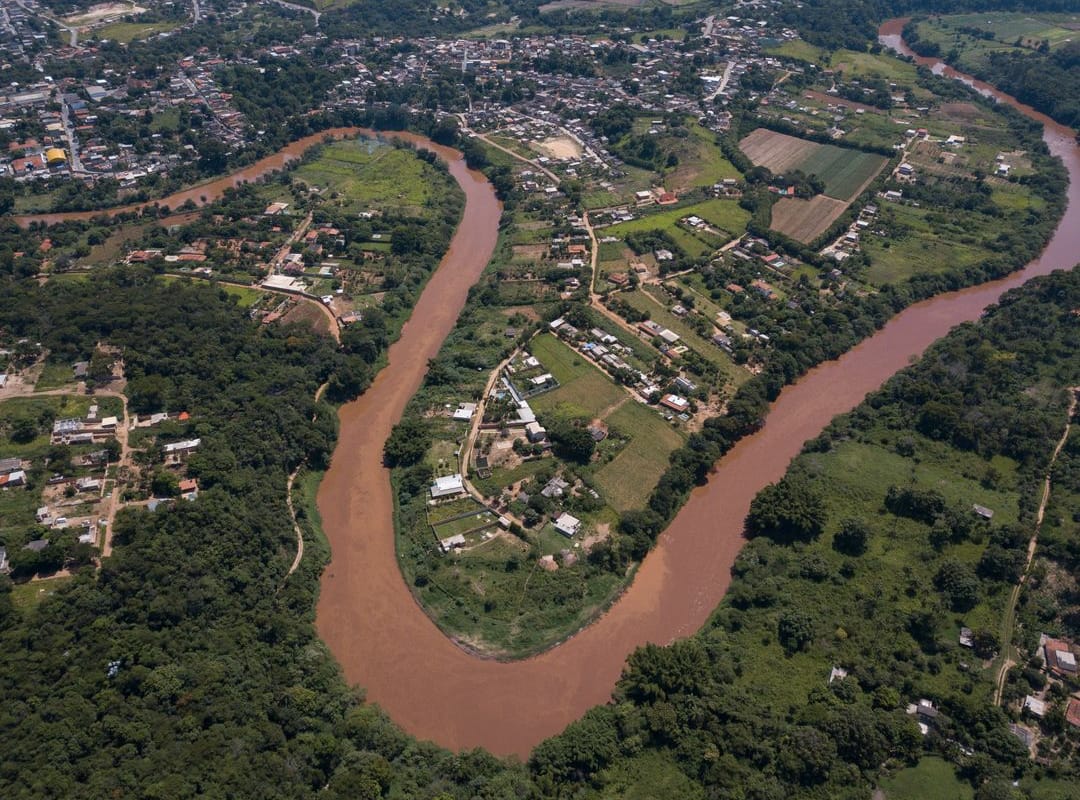 Programas de proteção à fauna e flora na bacia do Rio Paraopeba são validados para reparação ambiental