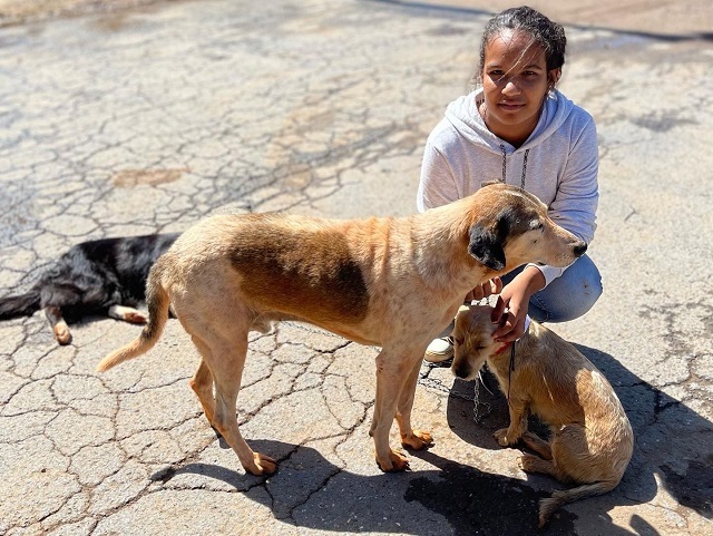 Governo de Minas intensifica combate ao abandono de animais domésticos com políticas públicas eficazes