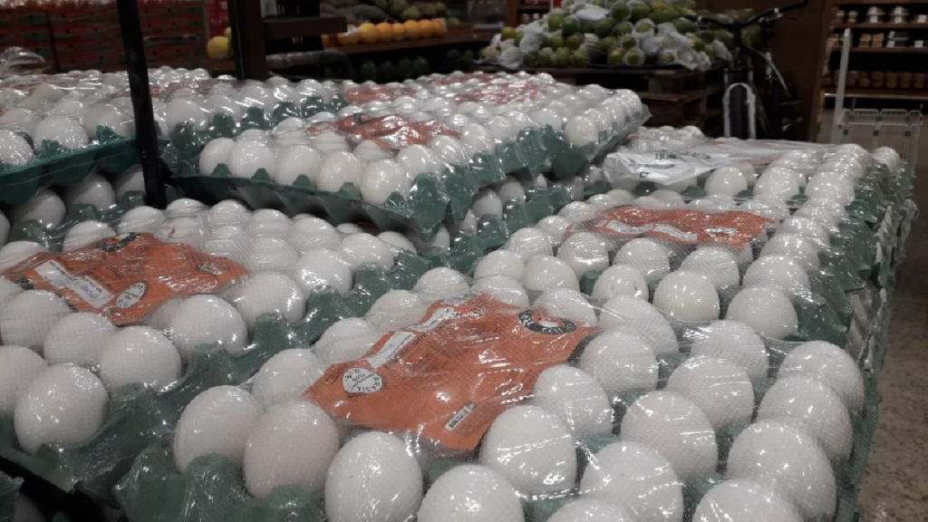 Preço dos ovos dispara e registra alta de até 61% na Grande BH
